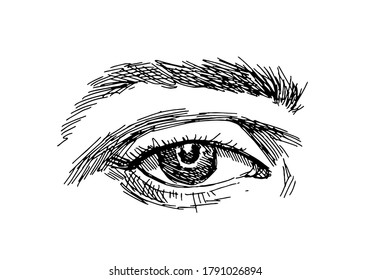 Hand drawn female eye in sketch style. Vector illustration.