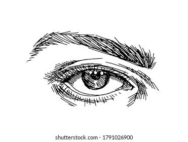 Hand drawn female eye in sketch style. Vector illustration.
