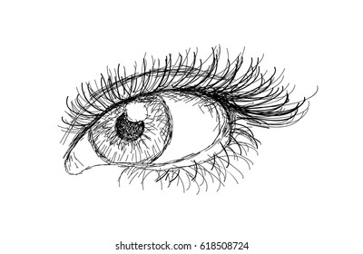 Hand drawn female eye vector 