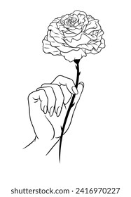 Hand Drawn of Female Hand Holding a Rose