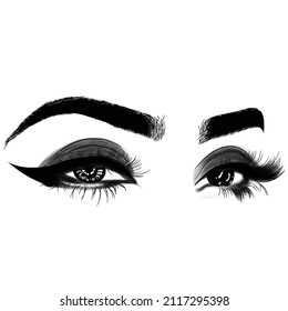 Hand drawn female luxurious eye with perfectly shaped eyebrows and full eyelashes. Idea for business card, typography vector