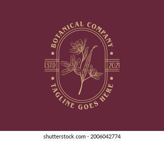 Hand Drawn Feminine Botanical Logo Templates Set. Retro Floral Illustration with Classy Typography.