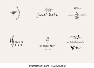 Hand Drawn Feminine Delicate Logo. Modern Logo Template for florist, photographer, fashion blogger, design studio, interior design. Branding identity collection. Floral feminine logo