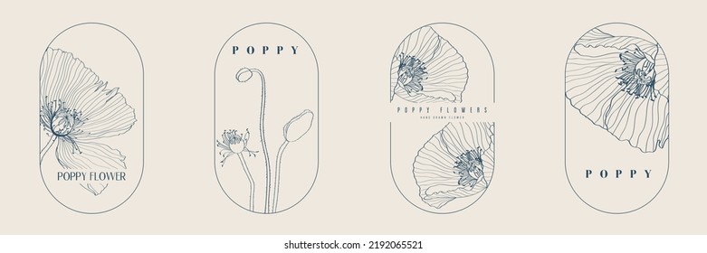 Conjunto de plantillas de logotipo femenino dibujadas a mano. Flores de amapola Ilustración con tipografía clásica. Símbolo de cosmética, joyería, productos de belleza de estilo femenino.