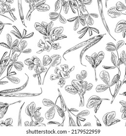 Hand drawn fenugreek seamless pattern, monochrome sketch vector illustration on white background. Fenugreek plant with leaves and blooming flowers and seeds. Pattern for culinary or medical design.
