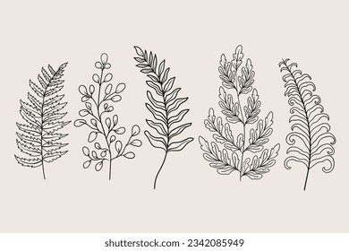 hand drawn fern illustration. fern outline sketch. leaves of ferns. Black isolated prints of fern leaves on the white background. Vector illustration. Set of fern leaves line art drawing.