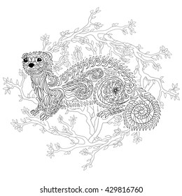 Hand drawn ferret in zen tangle style with high details.Coloring page for anti-stress art therapy. Black white hand drawn zendoodle animal. Sketch for poster, print, t-shirt. Vector illustration.