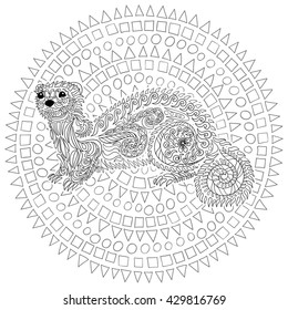 Hand drawn ferret in zen tangle style with high details.Coloring page for anti-stress art therapy. Black white hand drawn zendoodle animal. Sketch for poster, print, t-shirt. Vector illustration.