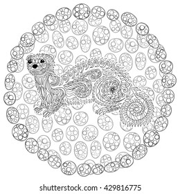 Hand drawn ferret in zen tangle style with high details.Coloring page for anti-stress art therapy. Black white hand drawn zendoodle animal. Sketch for poster, print, t-shirt. Vector illustration.