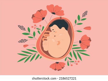 Hand drawn fetus illustration Vector illustration.