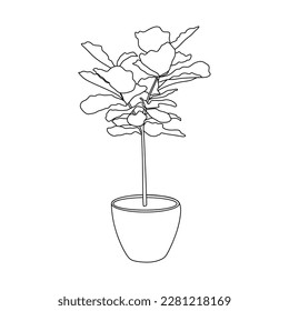 Hand drawn Ficus houseplant in pot. Indoor plant Ficus lyrata in potted Sketch. Outline room plant, Linear vector illustration