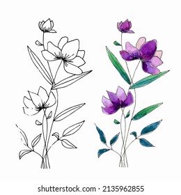Flor de campo dibujada a mano. Aislado sobre fondo blanco. Acuarela y revestimiento