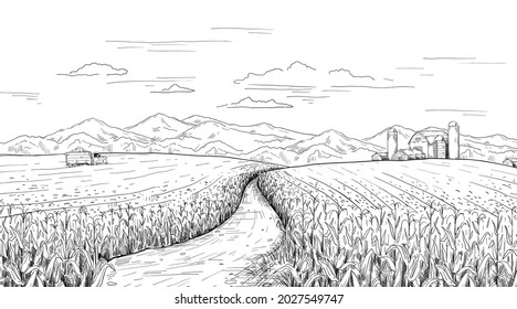 Hand drawn field landscape