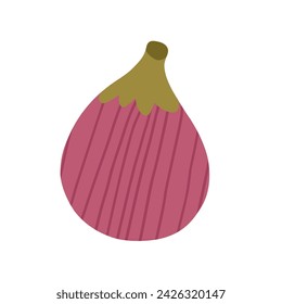 Higo dibujado a mano en estilo de dibujos animados lindo, ilustración vectorial aislado sobre fondo blanco. Fruta sana y exótica. 
