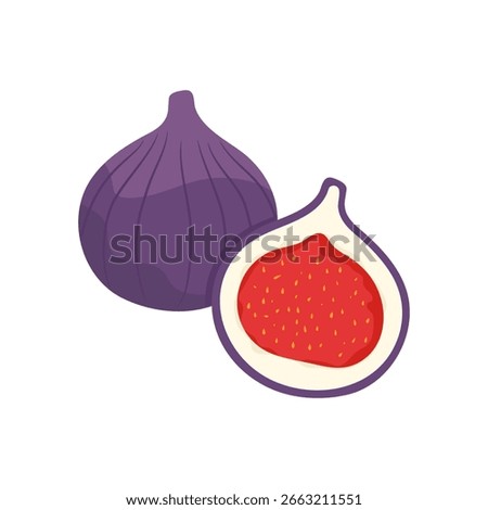 Hand drawn fig fruit isolated on white background. Cartoon fruit. Vector illustration