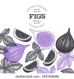 Hand drawn fig fruits design template. Organic fresh food vector illustration. Retro fig fruit banner.