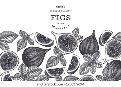 Hand drawn fig fruits design template. Organic fresh food vector illustration. Retro fig fruit banner.