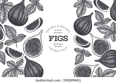 Hand drawn fig fruits design template. Organic fresh food vector illustration. Retro fig fruit banner.