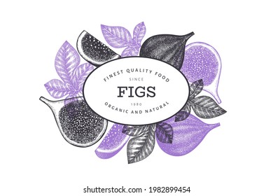 Hand drawn fig fruits design template. Organic fresh food vector illustration. Retro fig fruit banner.