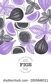 Hand drawn fig fruits design template. Organic fresh food vector illustration. Retro fig fruit banner.