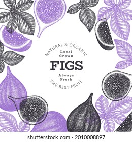 Hand drawn fig fruits design template. Organic fresh food vector illustration. Retro fig fruit banner.