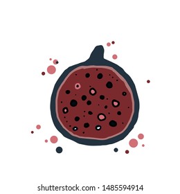 Hand drawn fig illustration, vector object