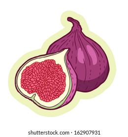 Hand drawn figs cartoon vector.