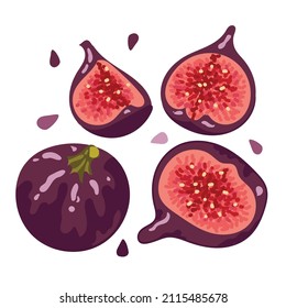 Hand drawn figs. Set of isolated elements on a white background. A balanced diet of healthy fruits and vegetables.
