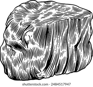 Dibujado a mano Filet Mignon Beef Steak Sketch ilustración