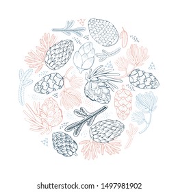 Hand drawn fir with cone, cones, branches of spruce and cedar round evergreen frame. Christmas holiday coniferous wreath with pine, cedar branches for decoration. Vector isolated design elements