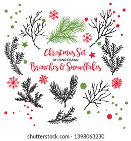 Hand drawn fir, pine cedar, coniferous branches. Christmas holiday winter plants for decoration. Vector isolated xmas design elements.