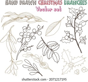 Hand drawn fir, pine cedar, coniferous branches. Christmas holiday winter plants for decoration. Vector isolated xmas design elements