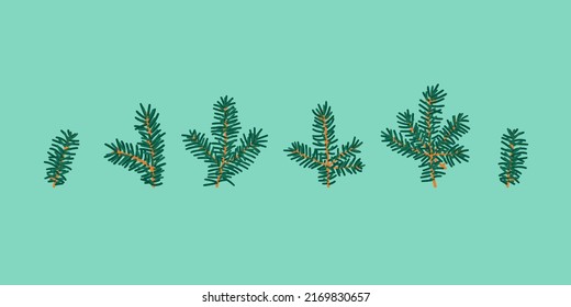 Hand Drawn Fir Tree Branches Isolated on Background. Various Green Pine Trees Parts Collection. 