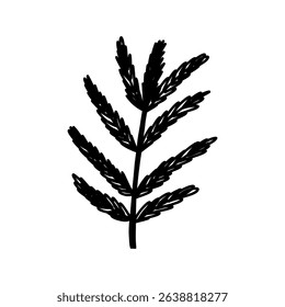 Hand drawn fir tree in cartoon doodle style, vector illustration isolated on white background. Cute Christmas tree.