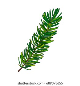 Hand drawn fir tree twig, branch, spruce, Christmas decoration element, sketch style vector illustration on white background. Single fir tree twig, branch, hand drawn sketch style illustration