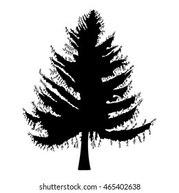Hand drawn fir tree vector illustration. Silhouette of black pine tree.
