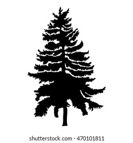 Hand drawn fir tree vector illustration. Silhouette of black pine tree.