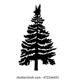 Hand drawn fir tree vector illustration. Silhouette of black pine tree.