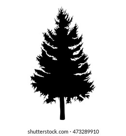 Hand drawn fir tree vector illustration. Silhouette of black pine tree.