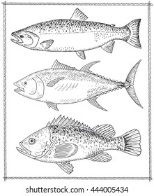Hand drawn fish
