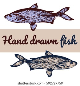 Hand drawn fish