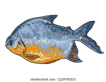 hand drawn fish collection background element set vector illustration clip art