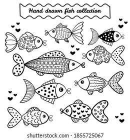 The hand drawn fish collection is isolated on white background.