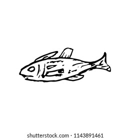 Hand Drawn fish doodle. Sketch style icon. Decoration element. Isolated on white background. Cartoon design. Vector illustration.