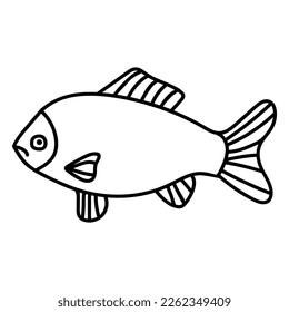 Hand drawn fish doodle style vector illustration isolated on white background. Redfish sketch