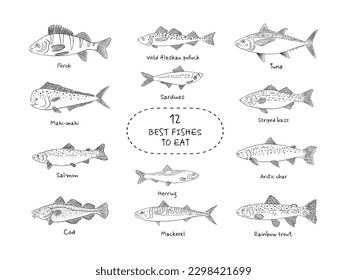 Hand drawn fish icon set in sketch style. Simple vector isolated illustration on white background