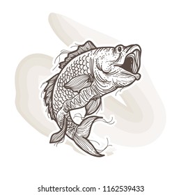 hand drawn fish illustration