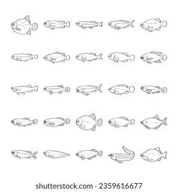 hand drawn fish illustration isolated on white background.