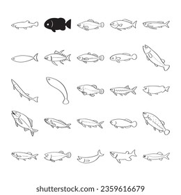 hand drawn fish illustration isolated on white background.