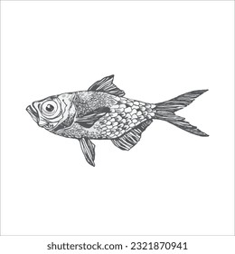 Hand drawn fish illustration, Minimal fish, Fish drawing, Artwork, Ocean, Sea, Water
